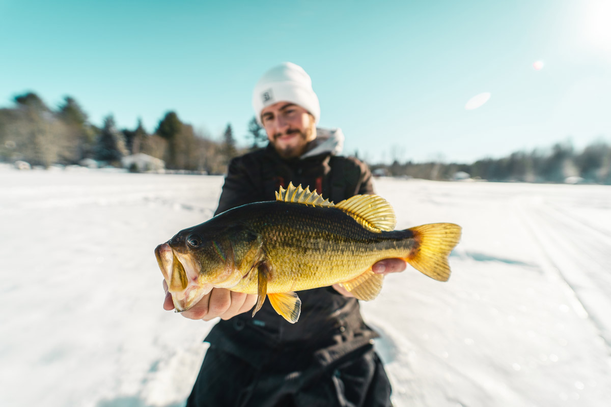 Pêche / nos services