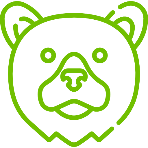 BEAR PACKAGE
